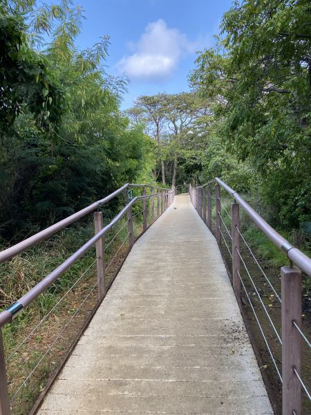 Footpath Construction in Kokomo